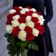33 красно-белых роза купить с доставкой в Санкт-Петербурге
